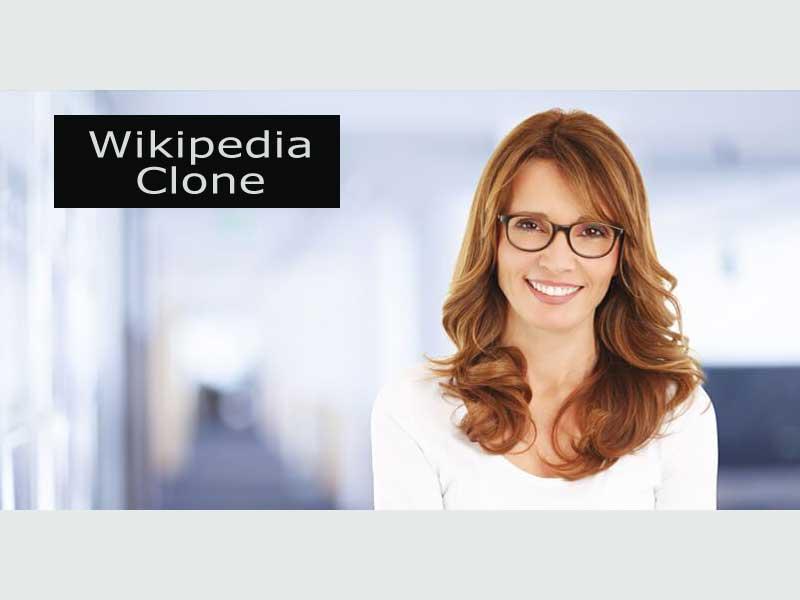 Custom Solutions Wikipedia Clone Thumbnail