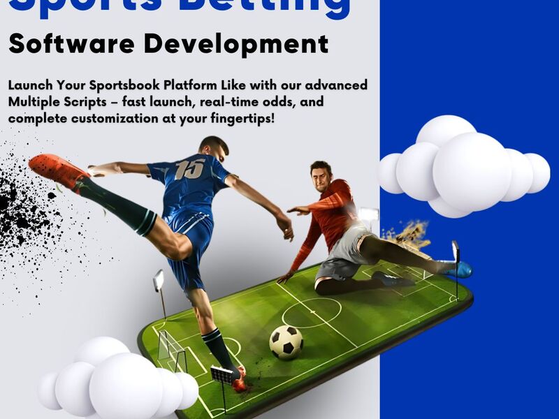 Sports Betting Software Development by HiveLance Thumbnail