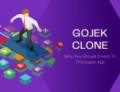 Just one app to meet all your needs-gojek clone Thumbnail